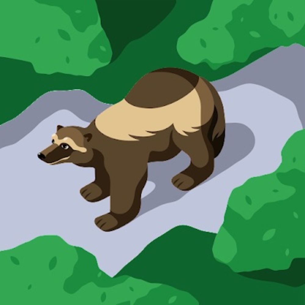 Meet your Posher, Cameron